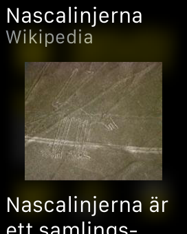 Screenshot: Nazca Lines